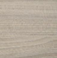 Coastal Sand