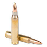 Prvi Partizan .223 Remington Ammunition 20 Rounds FMJBT 62 Grains PP5.5 [FC-8605003803805]
