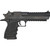 Magnum Research Desert Eagle XIX L6 .44 Magnum Semi Auto Pistol [FC-761226090564]