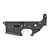 Doublestar AR-15 Stripped Lower Receiver Mil-Spec Forged 7075-T6 Aluminum Hard Coat Anodized Matte Black Finish [FC-841348102496]