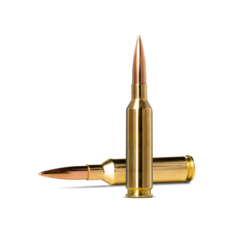 Norma Golden Target Creedmoor HPBT Ammo