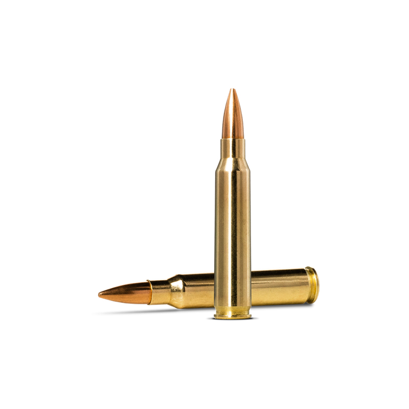 Norma Golden Target HPBT Ammo