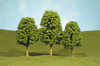 Bachmann 32206 O 5.5 - 6.5 Deciduous Trees