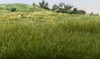 Woodland Scenics FS618 Static Grass Medium Green 4MM
