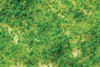 Bachmann Scene Scapes 32602 Foliage Light Green - Medium