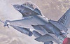 Hasegawa 00445 1/72 F-16D Fighting Falcon Plastic Model Kit