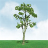 JTT Scenery 92211 N Pro-Elite Trees, Gum Tree 2”- 2.25” 3/pk