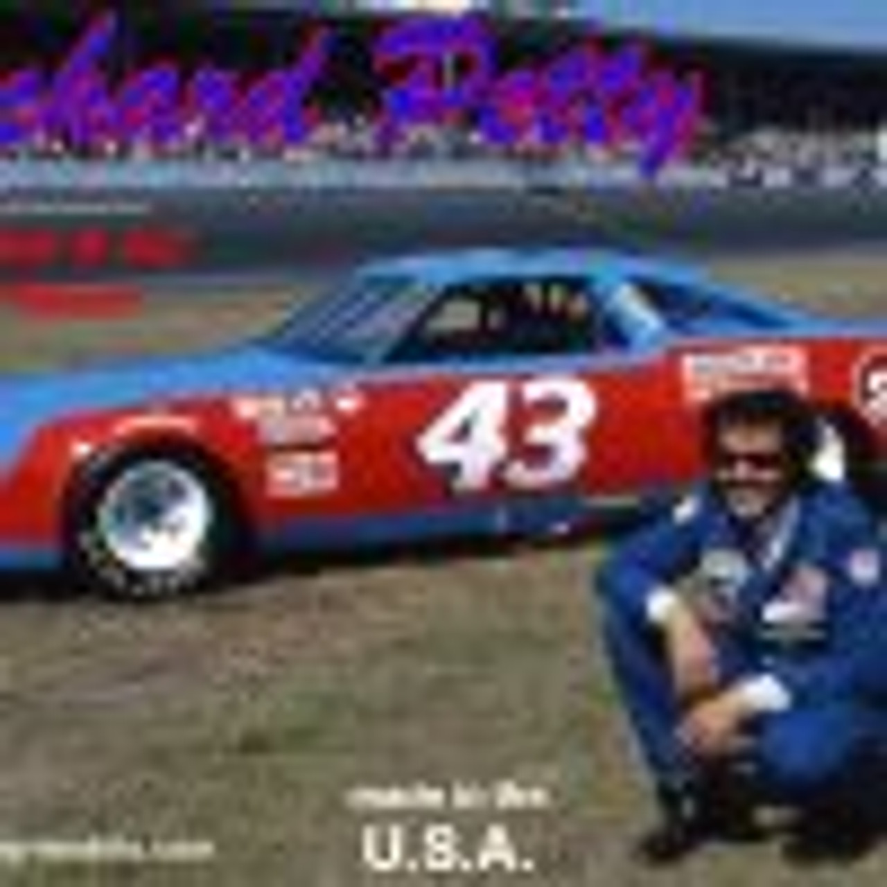 Salvino Jr RPO1979D 1/25 Richard Petty’s 1979 winning Oldsmobile 442 Plastic Model Kit