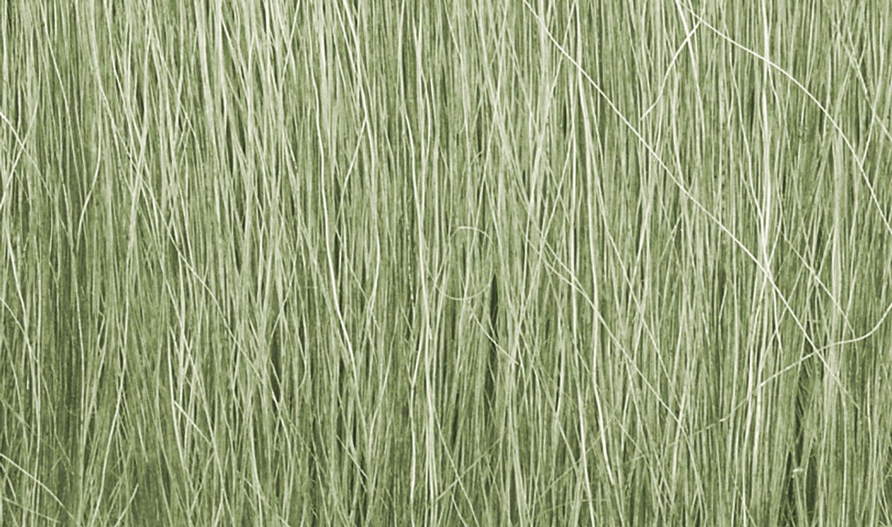 Woodland Scenics FG173 Field Grass Light Green