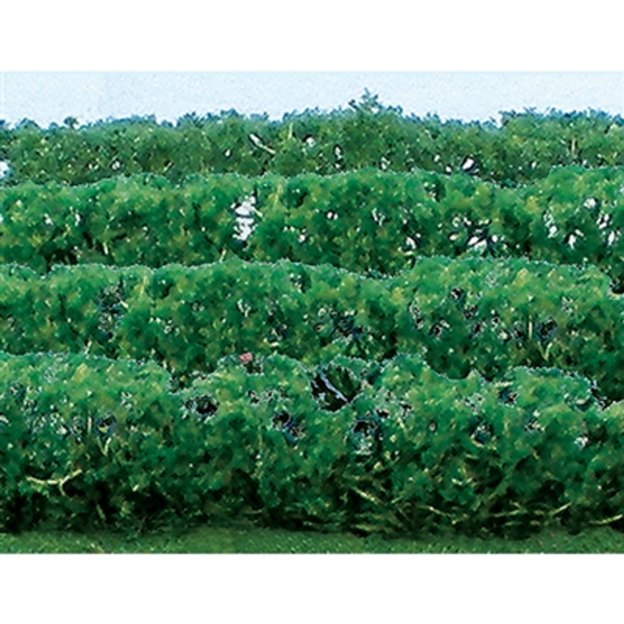 JTT Scenery 95515 HO Flower Hedges Green 5”x 3/8”x 5/8” 8/pk