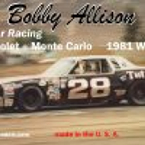 Salvino Jr BAMC1981R 1/25 Bobby Allison’s Chevrolet  Monte Carlo 1981 Winner Plastic Model Kit