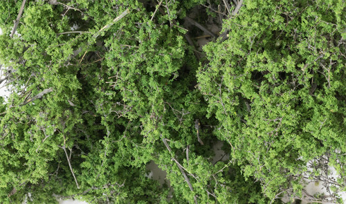 Woodland Scenics F1131 Fine-Leaf Foliage Medium Green