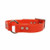 Dayglo Collars with O-Ring