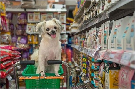 Successful Pet Food Supply Franchise Business for Sale