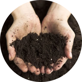 Fulvic Acid