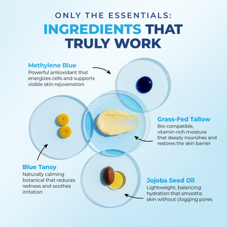 Ingredients Graphic