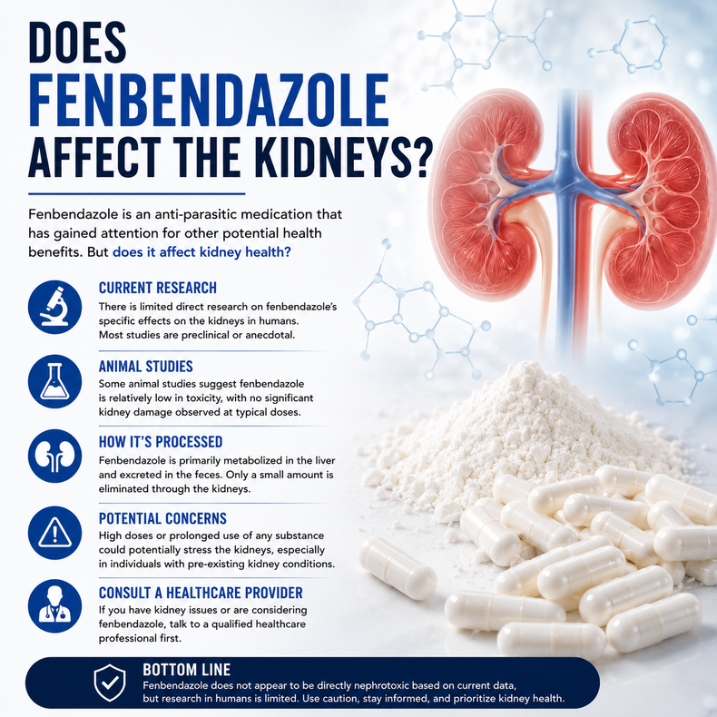 Does Fenbendazole Affect The Kidneys?