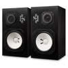 Avatone CLA-10A Active Monitors Yamaha NS-10M Active Reproduction