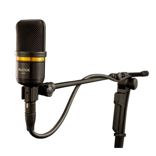 Audix A231