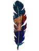 14" Feather Leaf Metal Wall Art by Kevin Fletcher