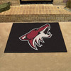 33.75" x 42.5" Arizona Coyotes All Star Black Rectangle Rug