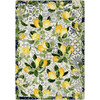3' x 4' Lemon Bloom Rectangle Scatter Nylon Area Rug