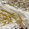 4' x 5' Petrified Multi Rectangle Nylon Area Rug
