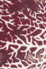 3' x 4' Daydreams Coral Merlot Coastal Rectangle Scatter Nylon Area Rug