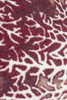 8' Daydreams Coral Merlot Coastal Round Nylon Area Rug