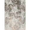 4' x 5' Stargazing Sandy Shore Rectangle Nylon Area Rug