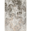 5' x 8' Stargazing Sandy Shore Rectangle Nylon Area Rug