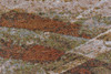 5' x 8' Wasteland Earthen Rectangle Nylon Area Rug