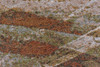 2' x 8' Wasteland Earthen Rectangle Runner Nylon Area Rug