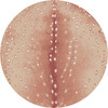 8' Spotted Hide Blush Round Nylon Area Rug