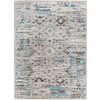 4' x 5' Redemption Distressed Tundra Rectangle Nylon Area Rug