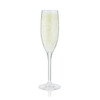 Hardy: Acrylic Champagne Glass