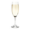 Cuvee Set of 4 Champagne Flutes by True