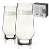 Weighted Stemless Champagne Flutes by Viski, Set of 2