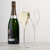Spiegelau Definition 9 oz Champagne Glasses, Set of 2