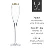 Gold-Rimmed Crystal Champagne Flutes by Viski, Set of 2