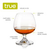 Snifter Glasses by True, Set of 4