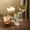 Meridian Martini Glasses by Viski, Set of 2