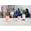 Wine FREEZE XL in Blush Tint Wine Glasses by Host, Set of 2