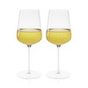 Spiegelau Definition 19 oz Universal Wine Glasses, Set of 2