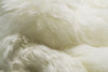 2' x 3' White Animal Print Area Rug