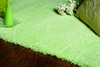 2' x 4' Spearmint Green Indoor Shag Rug