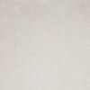 2' x 4' Polyester Ivory Area Rug