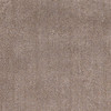 2' x 4' Beige Indoor Shag Rug