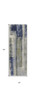 3' x 8' Blue Green and Ivory Abstract Power Loom Distressed Runner Rug