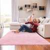 4' x 5' Pink Shag Power Loom Area Rug